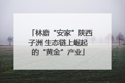 林麝“安家”陕西子洲 生态链上崛起的“黄金”产业